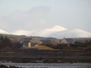 k-DSCN1362