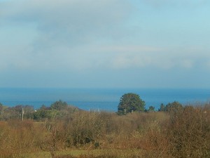 k-DSCN1378