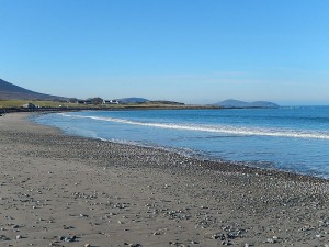 k-DSCN1380