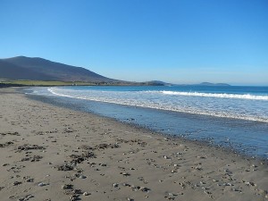 k-DSCN1381