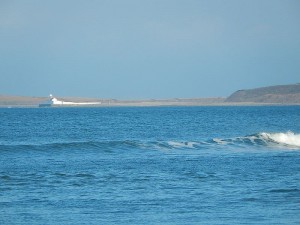 k-DSCN1382