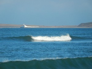 k-DSCN1383