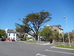k-DSCN1670