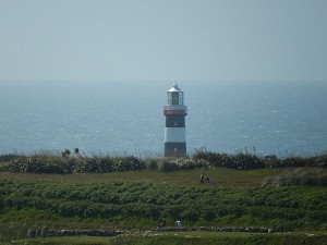 k-DSCN1960
