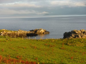 k-P1040935