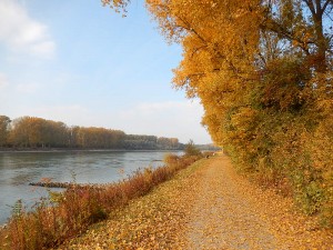 DSCN2831