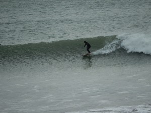 DSCN3106