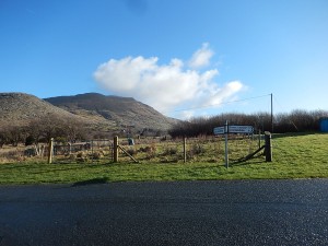 DSCN3134