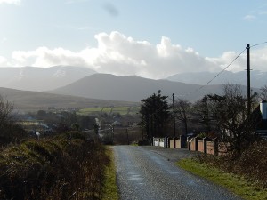 DSCN3136