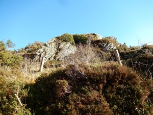 DSCN3137