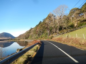 DSCN3161