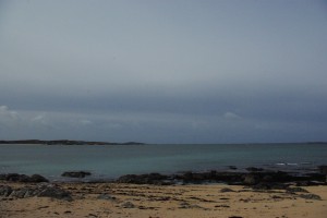 IMGP9895