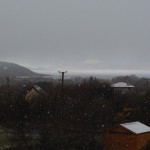 IMGP9965